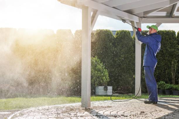 Best Soft Washing  in Weldon, CA