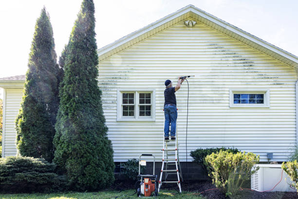Best Patio and Deck Pressure Washing  in Weldon, CA